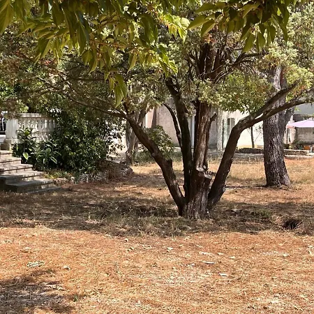 Independante Avec Terrasse Privee Et Piscine 4* Nîmes